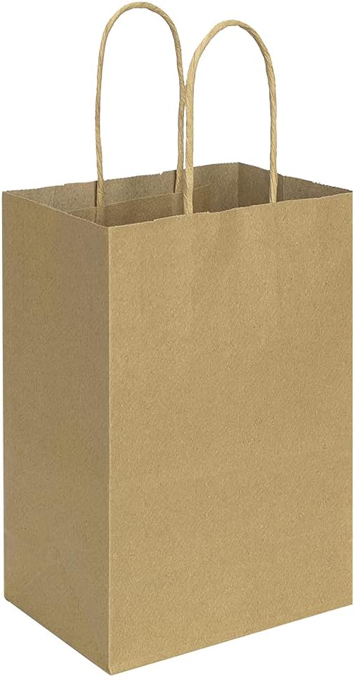 bagmad 100 Pack 5.25x3.25x8 inch Brown Small Paper Bags with Handles Bulk, Gift Paper Bags, Kraft Birthday Party Favors Grocery Retail Shopping Craft Bags Takeouts Business (Plain Natural 100pcs)