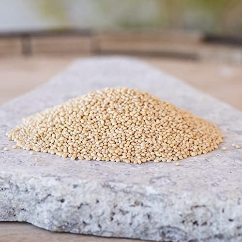 Desert Valley Premium White Millet Proso Seeds - Wild Bird Food, Cardinal, Finch & More (5-Pounds)