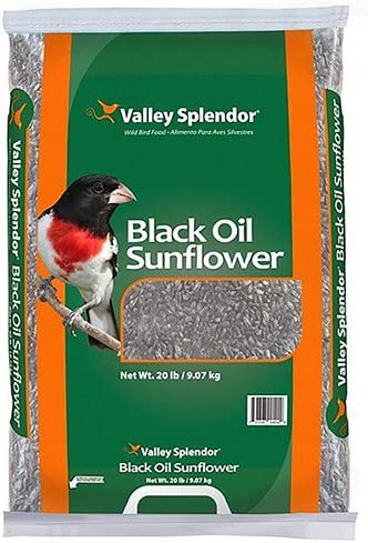 Valley Splendor Black Oil Sunflower Seeds, 20 lbs