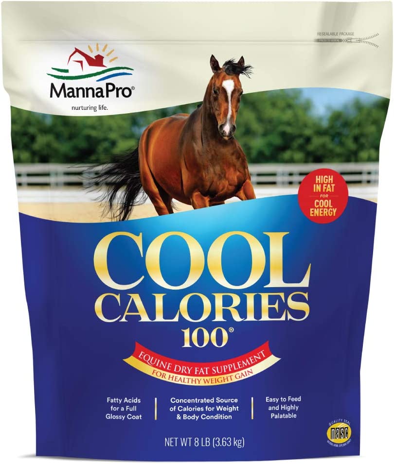 Manna Pro Cool Calories 100 | Equine Dry Fat Supplement for Healthy Weight Gain | 8 Pounds