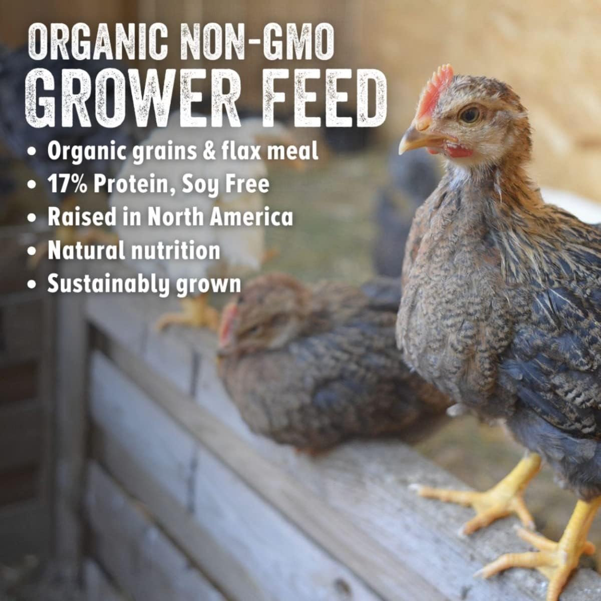 Scratch and Peck Feeds Organic Grower Mash Chicken Feed - 10-lbs - 17% Protein, Non-GMO Project Verified, Naturally Free Chicken Food