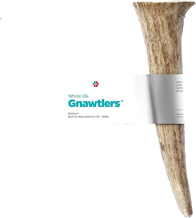 Pet Parents® Gnawtlers® - Premium Elk Antlers for Dogs, Naturally Shed Elk Antlers, All Natural Elk Antler Dog Chew, Specially Selected from The Heartland Regions