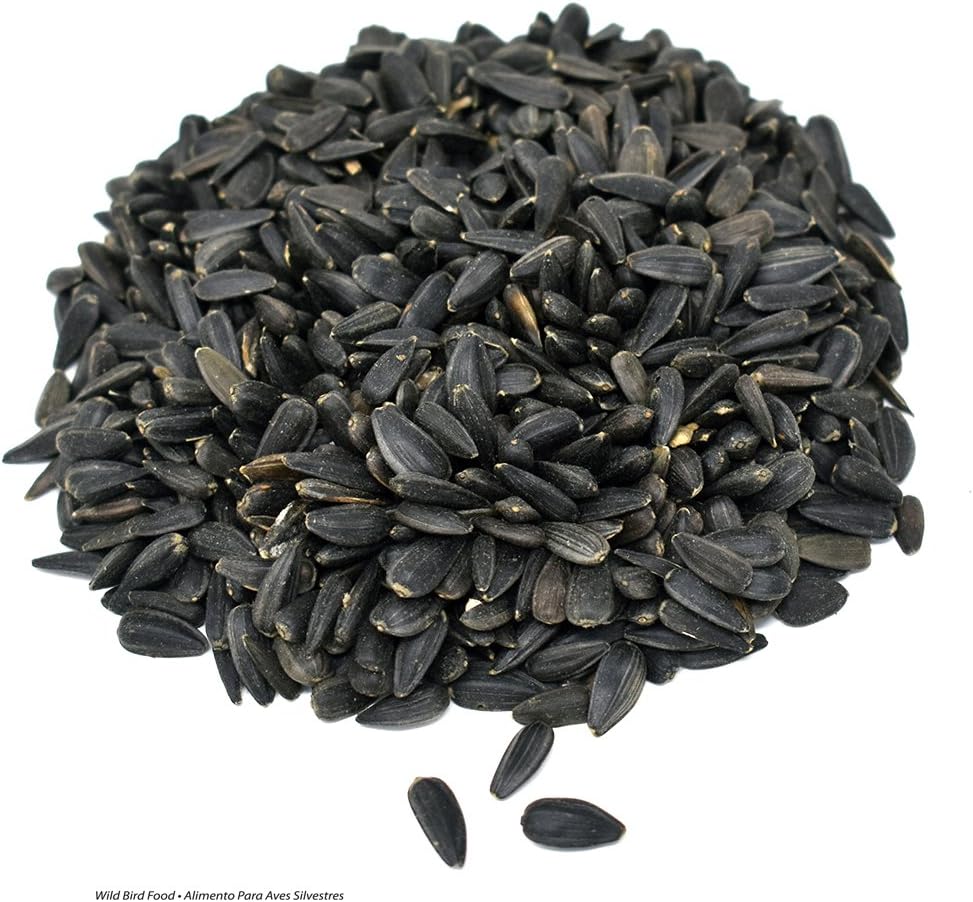 Valley Splendor Black Oil Sunflower Seeds, 20 lbs