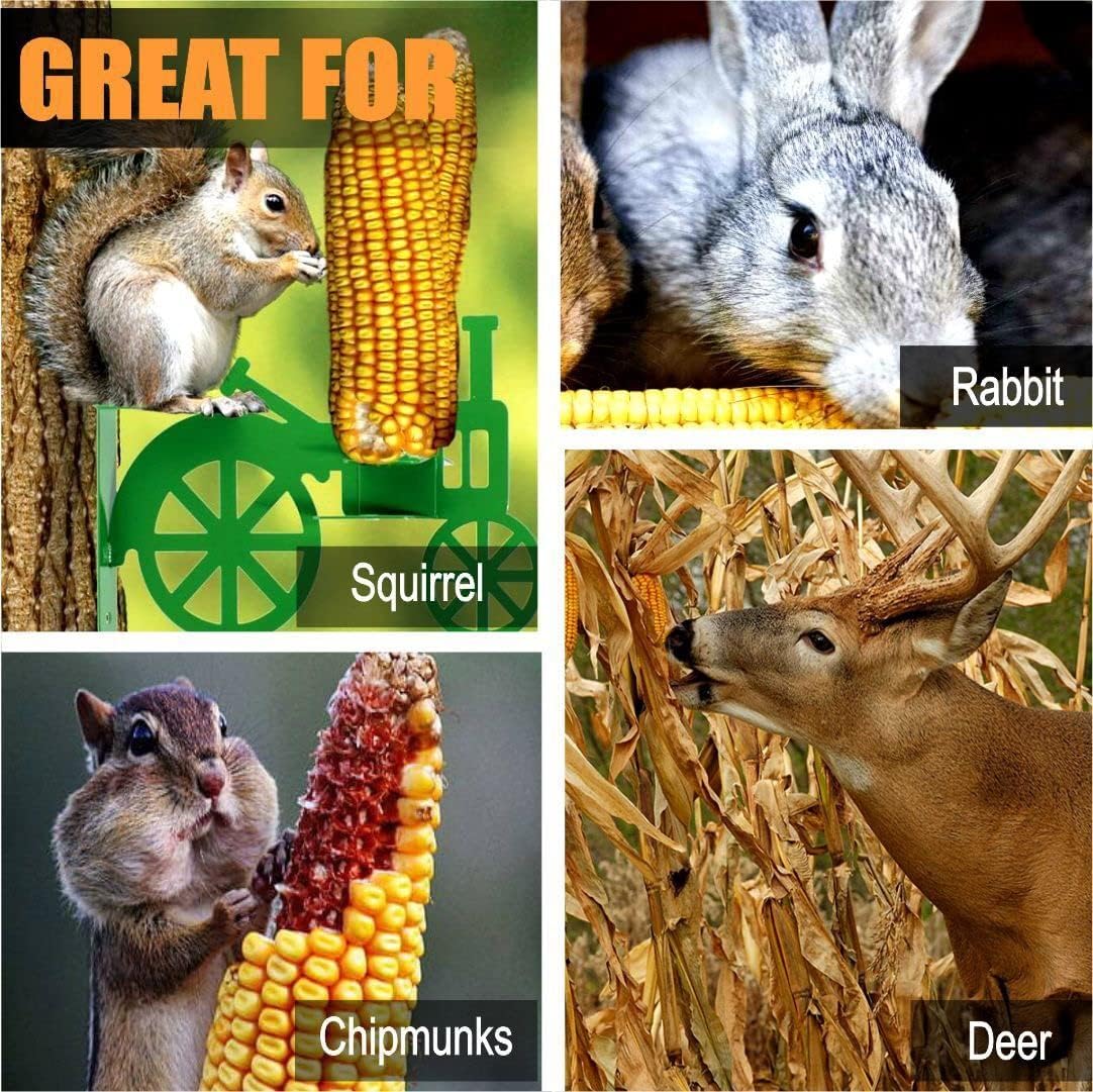 Old Potters Ear Corn for Animals - 2022 Crop - Premium Hand Picked Corn Grown in USA Feed for Backyard Animals, Great for Squirrels, Deer, Rabbits and Other Wildlife, 24-30 Count