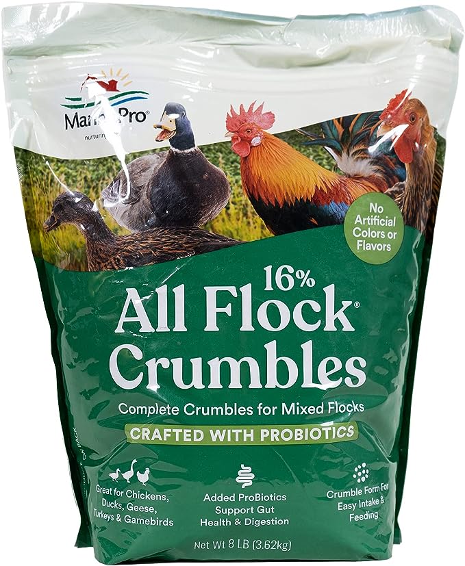 Manna Pro All Flock Crumbles | 16% Protein Level | Complete Feed for Chickens, Ducks, Geese, Turkeys and Gamebirds | Probiotics to Support Digestion | No Artificial Colors or Flavors | 8 Pounds WHITE