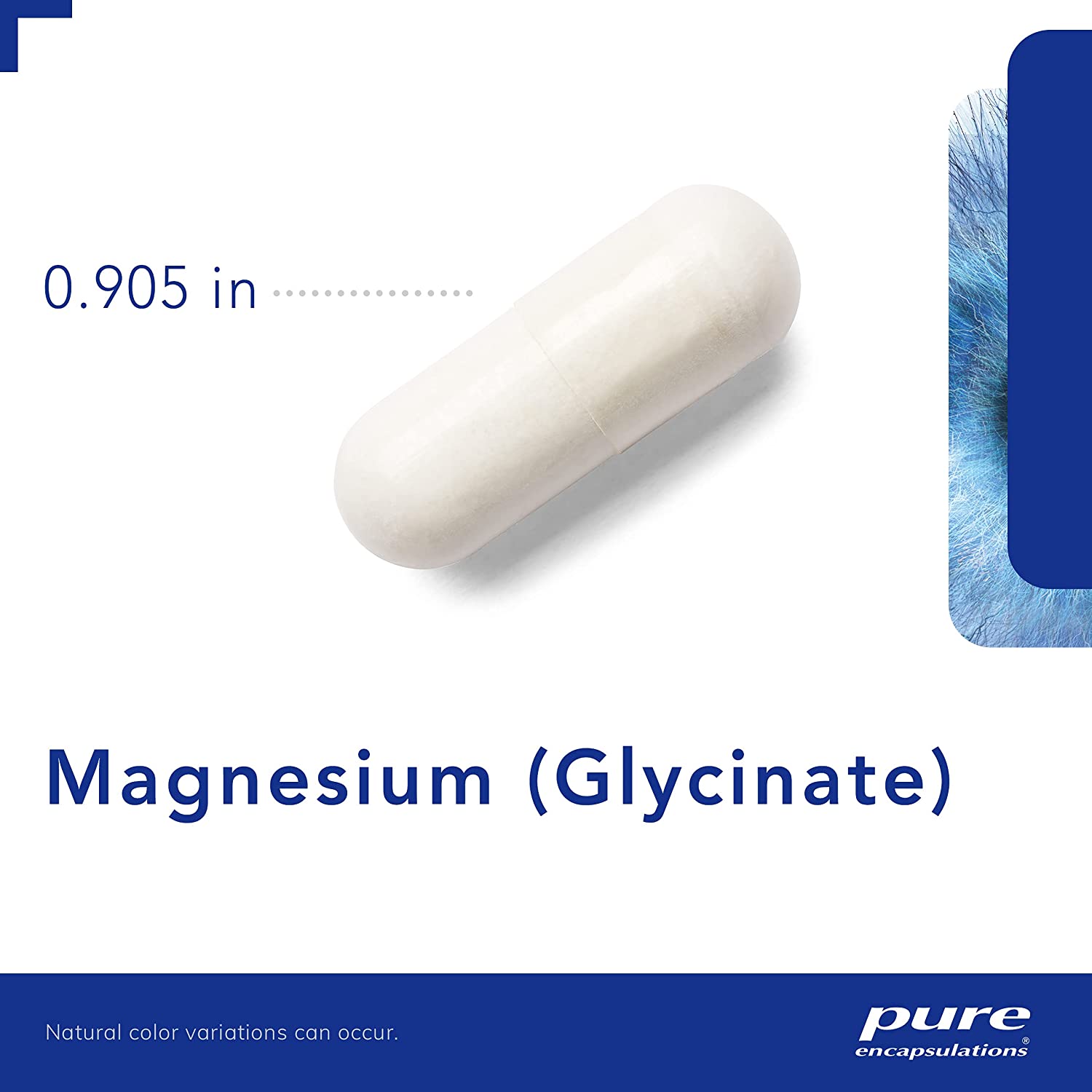Pure Encapsulations Magnesium (Glycinate) - Supplement to Support Stress Relief, Sleep, Heart Health, Nerves, Muscles, and Metabolism* - with Magnesium Glycinate - 360 Capsules