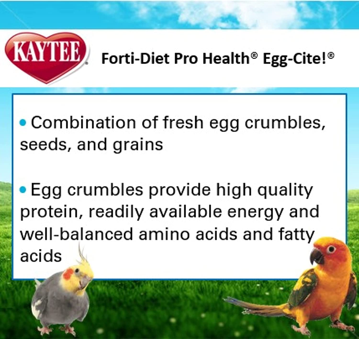Kaytee Forti-Diet Egg-Cite Parakeet Pet Bird Food, 5 Pound