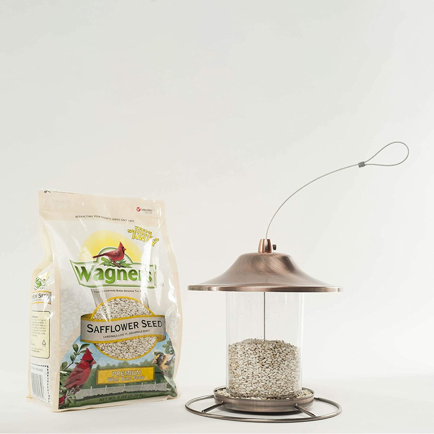 Wagner's 57075 Safflower Seed Wild Bird Food, 5-Pound Bag