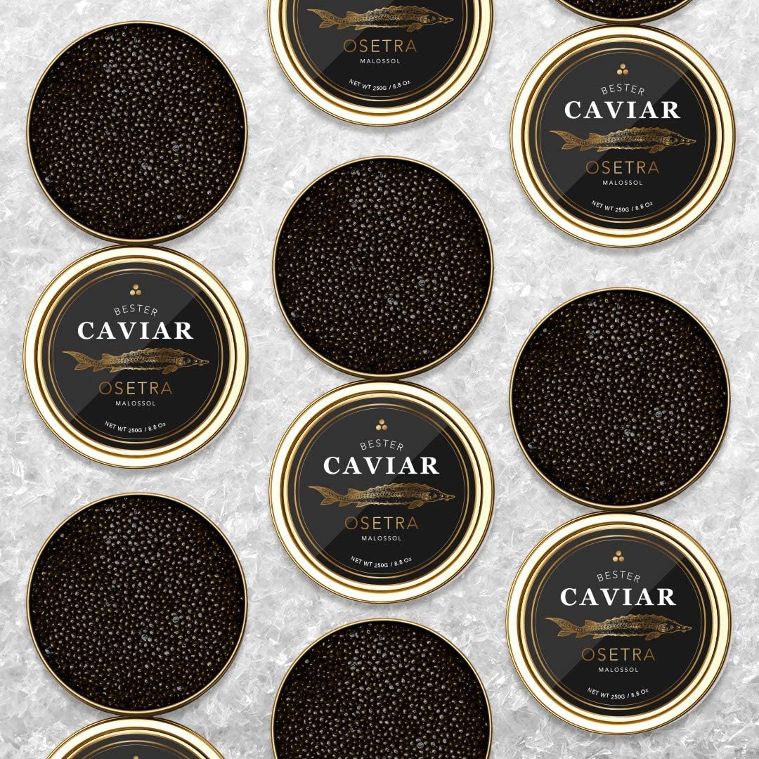 OVERNIGHT GUARANTEED, BESTER Premium Osetra Sturgeon Black Caviar - (1.76 oz (50g)) - Malossol Ossetra Black Roe - Premium Quality, Traditional Style, imported