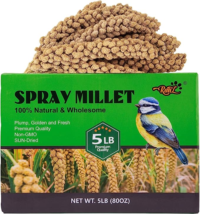 RANZ 5LBS Millet Spray for Birds, GMO-Free, Sun Dried Spray Millet, Original Bird Treats & Supplement for Parrots, Cockatiels, Lovebirds, Painted Buntings and Finches, Parakeets Food Millet