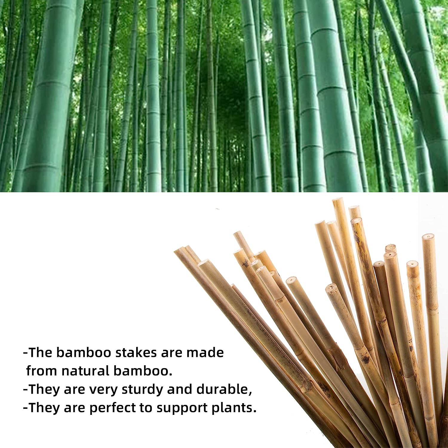 50Pcs Garden Stakes, 0.32”/16 Inch Bamboo Sticks，Natural Plant Stakes for Indoor and Outdoor Plants，Poles for Tomatoes, Beans, Potted Plants