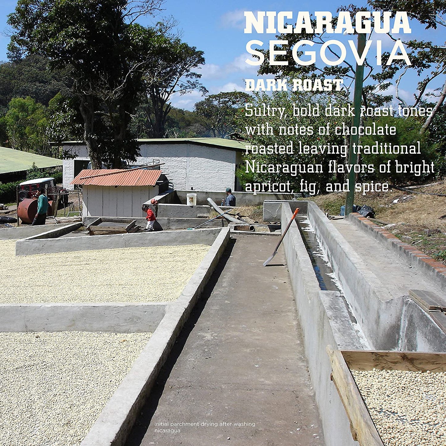 Tiny Footprint Coffee - Fair Trade Organic Nicaragua Segovia Dark Roast | Whole Bean Coffee | USDA Organic | Fair Trade Certified | Carbon Negative | 3 Pound